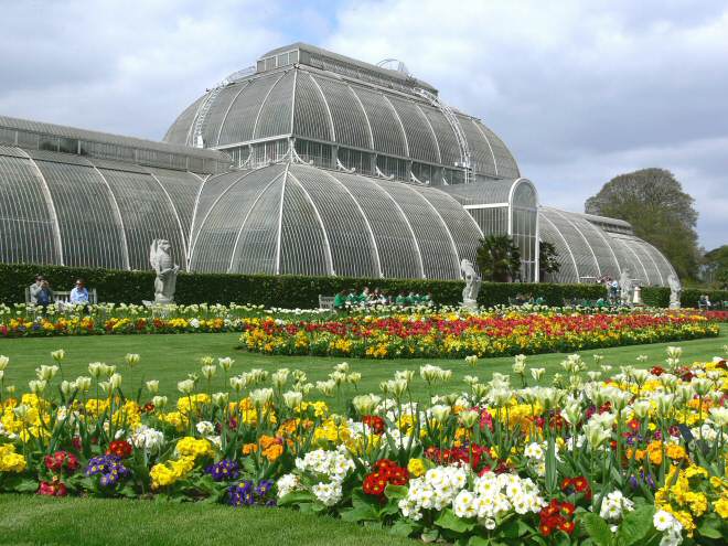 Королевские ботанические сады в Кью (Kew Botanical Gardens)